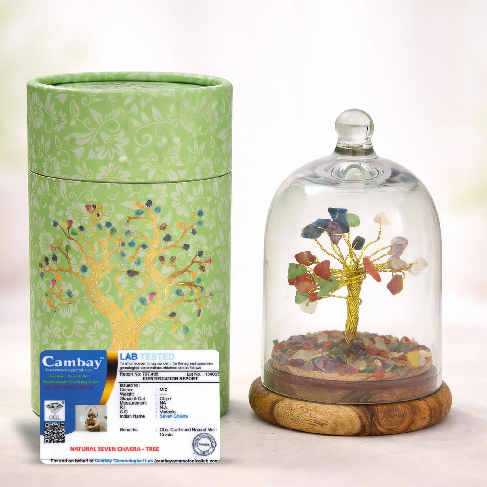 Crystal Chakra Tree in Glass Dome